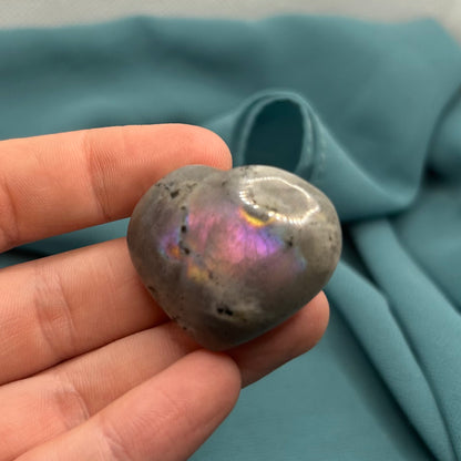 Pink Butterfly Bundle